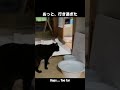 今日も水がうまいぜ
