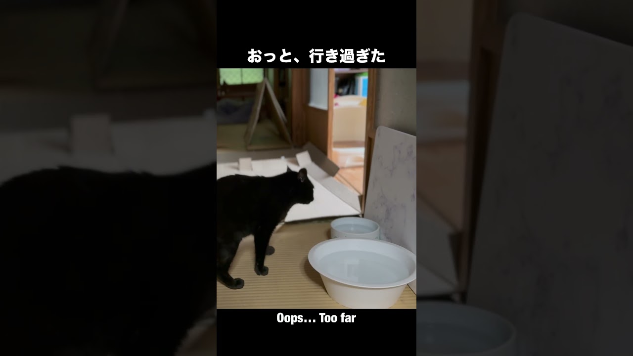 今日も水がうまいぜ