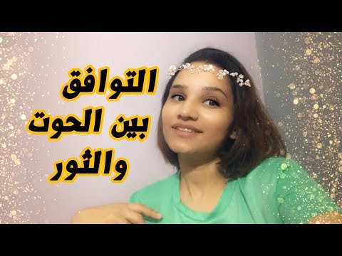 فريسة لأربع ذئاب البارت الاول للكاتب المصري محمد مالك جميع الحقوق محفوظة وانتهت مراسم الزفاف وذهبت سها مع زوجها حازم الي عش الزوجية لتبدأ حيا In 2020 Horses Animals