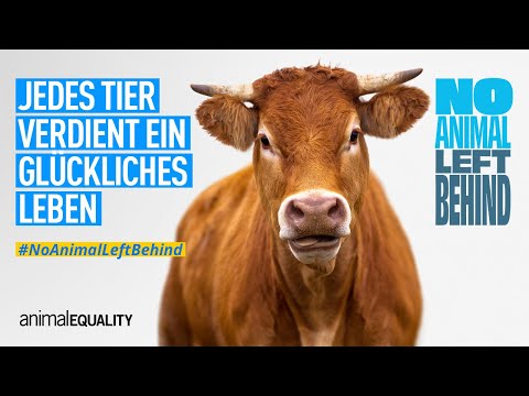 No Animal Left Behind: Ein glückliches Leben