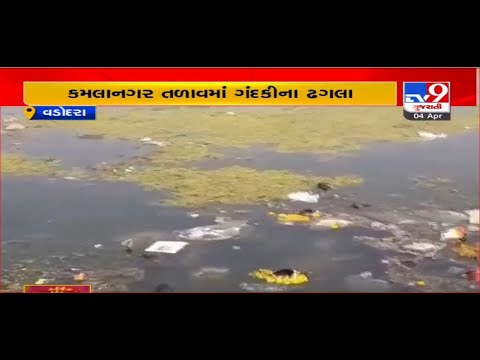 Kamlanagar lake beautification just on papers in Vadodara |Gujarat |TV9GujaratiNews