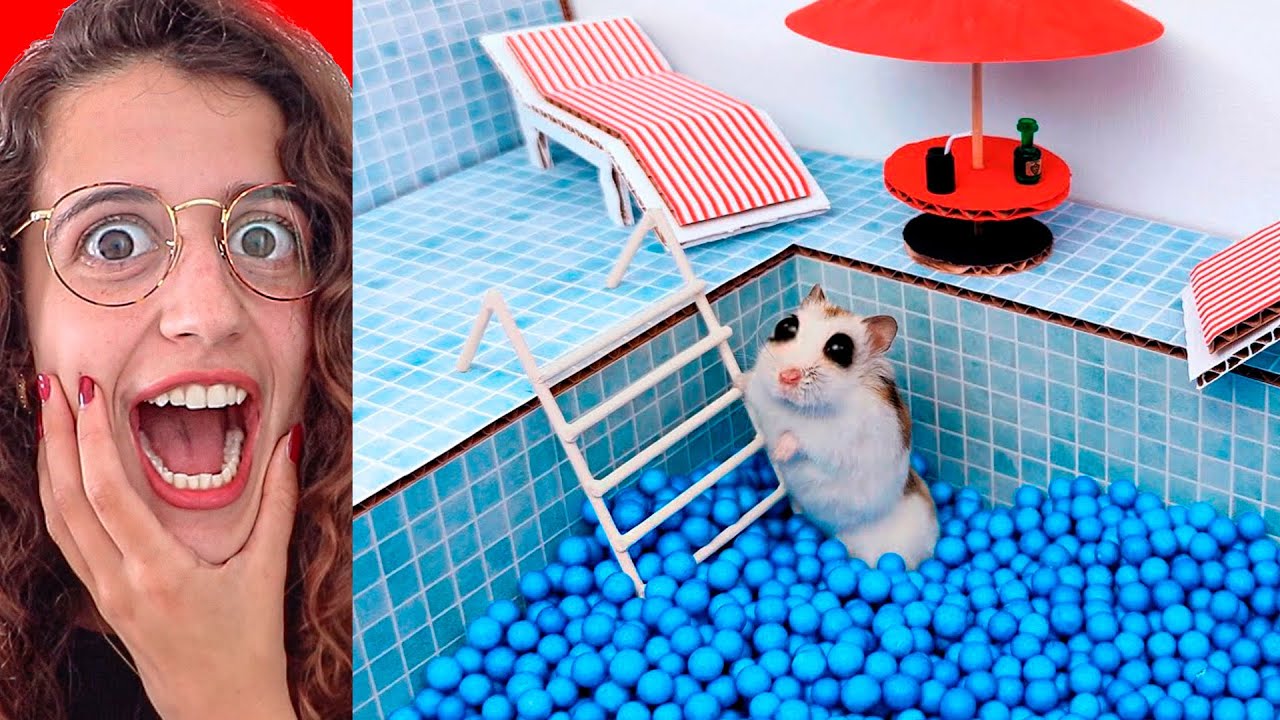 🐹 Hamster ESCAPA de un LABERINTO IMPOSIBLE creado por Humanos!!! (La historia de un pequeño animal)