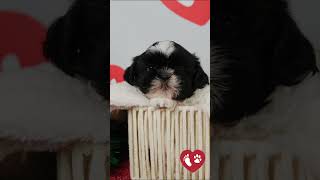 El cambio que no notas… hasta que juntas las fotos | Antes y después Las Almenas