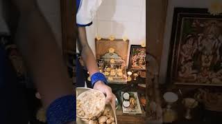 Habadha Shubashayagallu