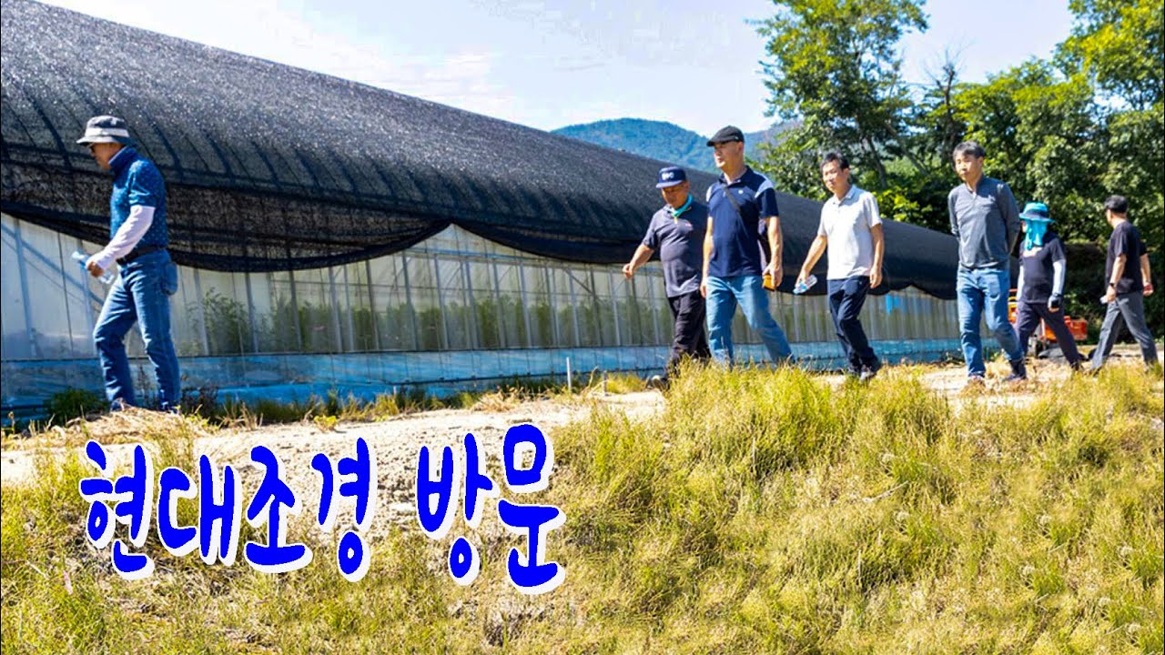 🌟현대조경 방문1🌲🌳🌸