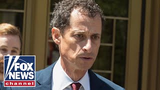 Anthony Weiner 'the biggest jackass:' Dagen McDowell