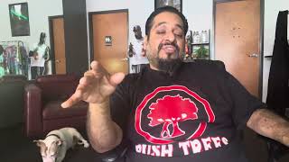 “Exclusive” Ace Ultra Premium Diamond Sauce Disposable (Tigers Blood) Review