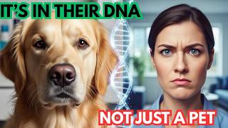 Why Dogs Are Acting Like Humans (Science Finally Found Out Why)