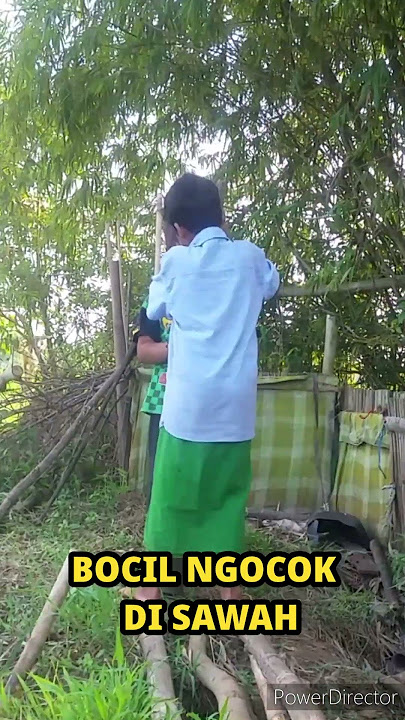 ngocok di sawah