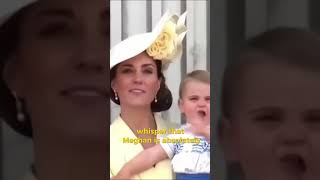 Meghans Royal Status Challenged In Dramatic Shake-Up