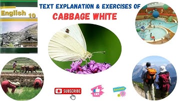 CLASS 10📚 UNIT 4 II CABBAGE WHITE 👉 TEXT EXLPLANATION WITH ALL EXERCISES INCLUDING GRAMMAR