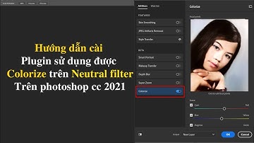 Plugin sử dụng được Colorize trên Neutral filter | chiasepts