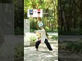 🦩 Stand like a crane. Feel like a cloud. Tai chi posture.#taichi #health
