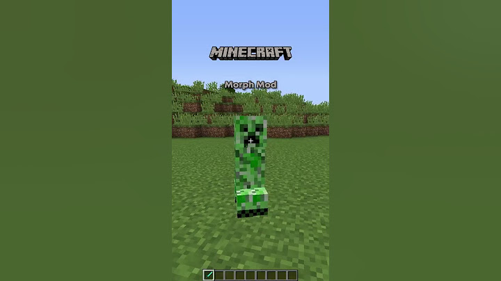 Minecraft Morph Mod!