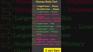Human Body Fact #bhms #mbbs #nursing #doctor #medical #medicalshorts