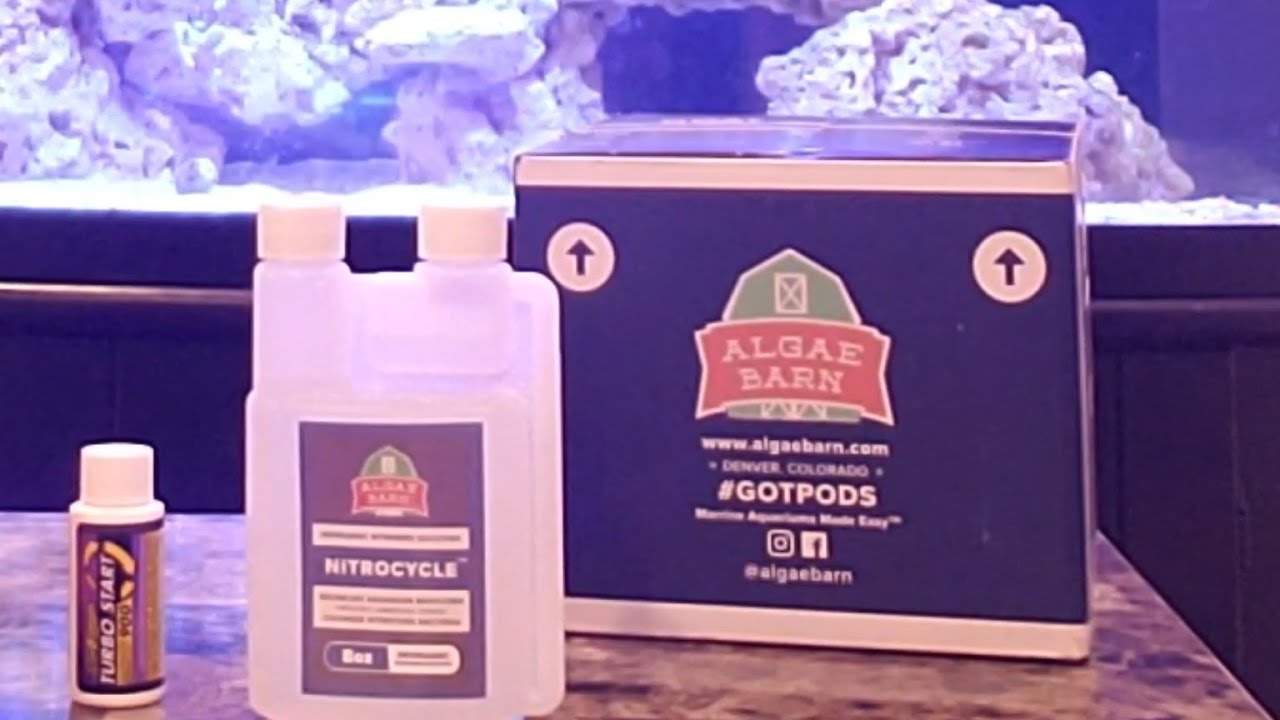 Algaebarn's aquarium cycle kit