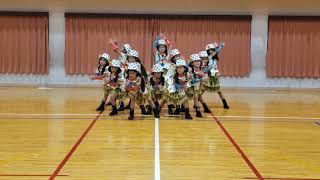 Minisenwowどりパフォーマンス第18回京都学生祭典オンライン本祭