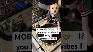 #Moby MoodMusic #DailyMusic #OnRepeat #bestmusic #MusicTrending #ElectronicLegend