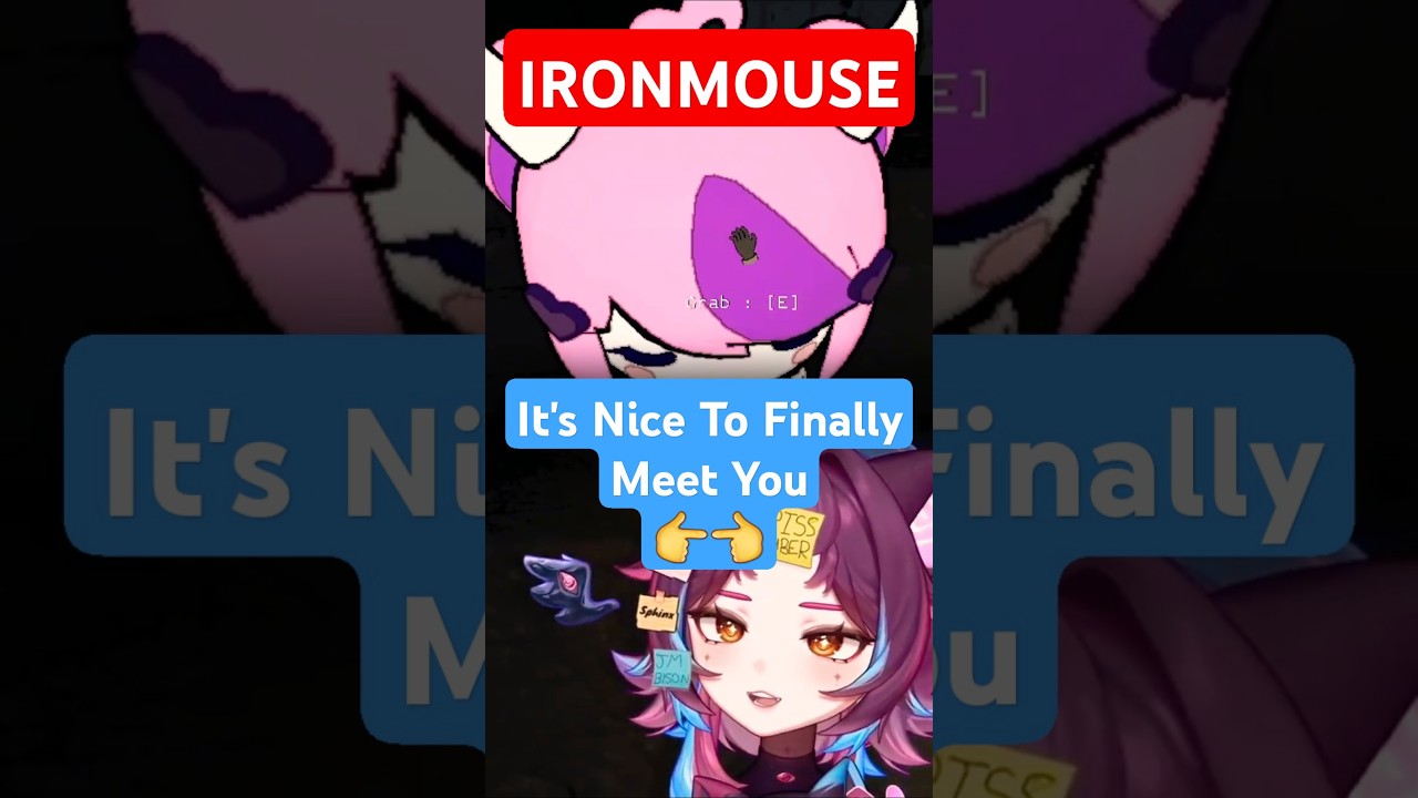 Vtuber Seraph FINALLY Meets Ironmouse!