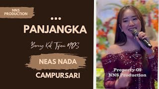 Download Lagu Panjangka // Tifani NDS // NNS Production MP3