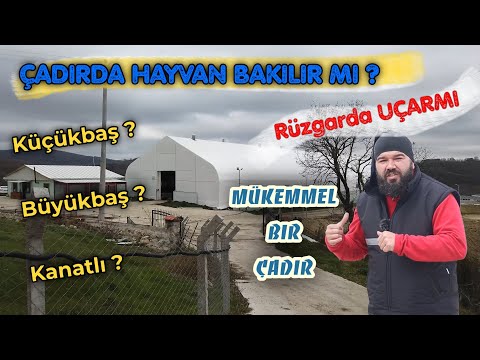 Video: Doğru çadırı Necə Seçmək Olar