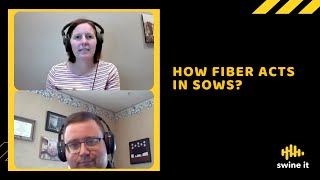 How fiber acts in sows - Dr. Tom Weber