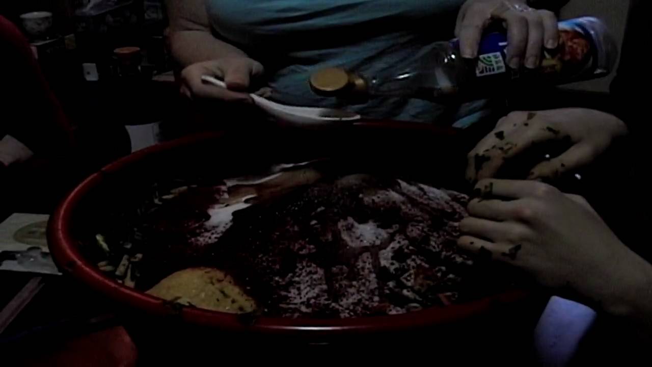 Foreigner Kimchi third culture kid example