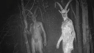 Real Footage of Terrifying Creatures No One Can Identify