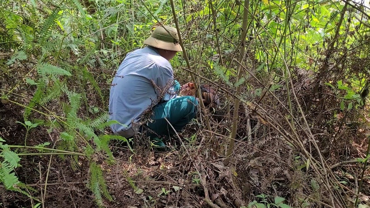 May mắn Sau Nhiều Ngày Không Thăm Bẫy #HưởngMườngThàng 