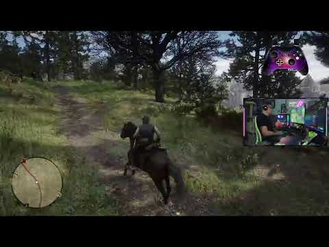 RDR2 1st Playthrough