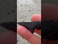 Where to find fossilised shark teeth?