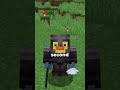 Join to get your free cat #minecraft #minecraftserver #shorts