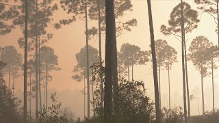 Wild Heron fire causes evacuations, massive response