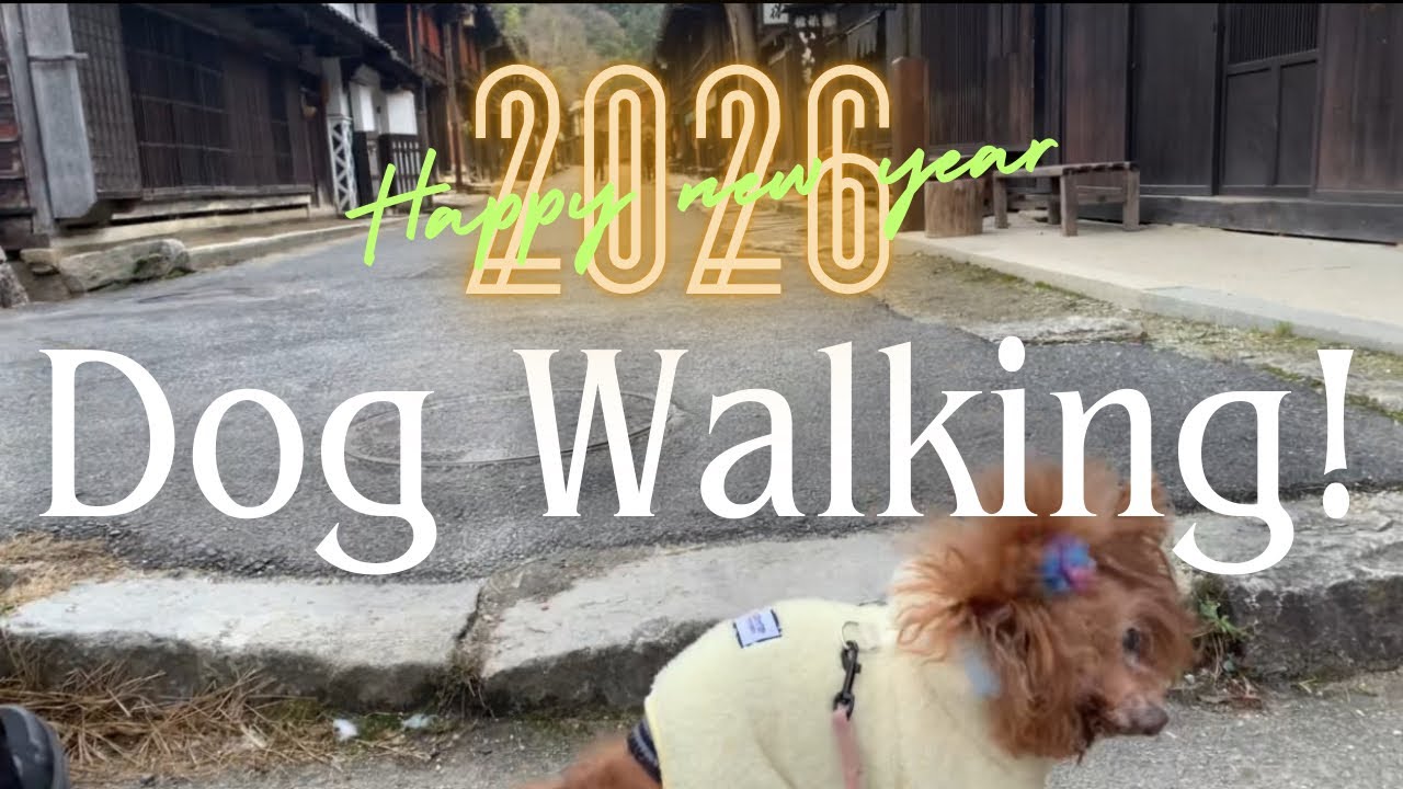 【Dog  Walking】 Happy  new year2026