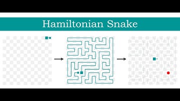 Hamiltonian Snake in Clojure