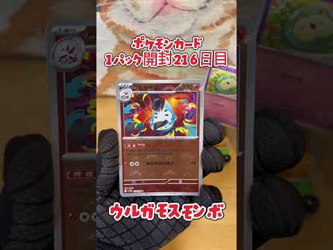 【ポケカ】ポケモンカード ブラックボルト  1パック開封216日目・・・#ポケモン#ポケモンカード#開封動画 