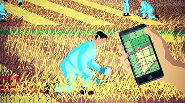 Decision Support System for Nuclear Emergencies Affecting Food and Agriculture