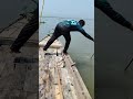 #fishing #নদীর_মাছ