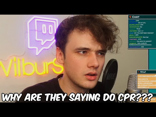 Wilbur Soot Reacts To CPR By Cupcakke!