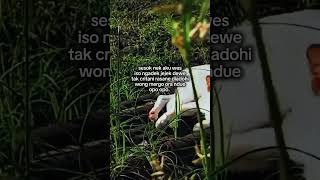 Nelongso Ne Wong Raduwe trending storywa stroywaindonesia jowopride storyharian quotes quotes