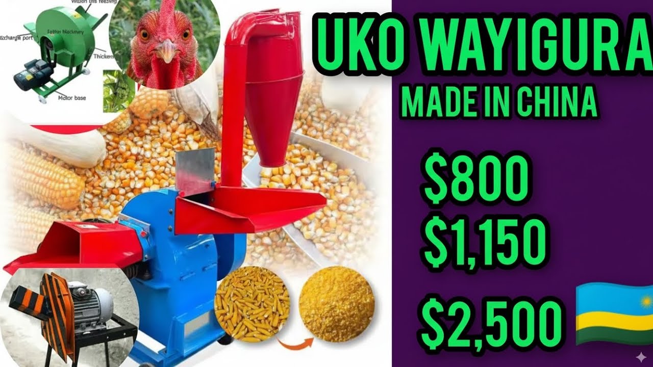 IBICIRO KWISOKO N'Uko Wakwikorera Imashini Ivanga n’Isya Ibiryo by’Inkoko | Bika Amafaranga Menshi!