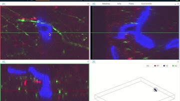 webKnossos: Connect webKnossos with Your Publications