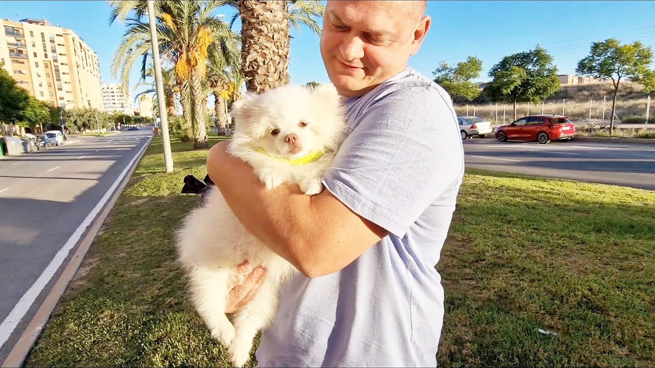 Вместе весело шагать.... - YouTube