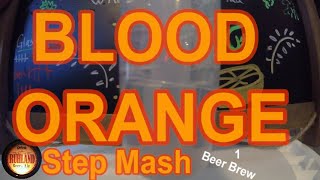 My Long Ass Step Mash Home Beer Brew Batch 96 Blood Orange 1 Iron Pour Blood