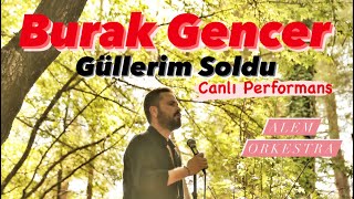 Burak Gencer - Güllerim Soldu |Alem Orkestra| Resimi