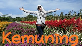 Download lagu Kemuning-The Favourite's (cover) Heri di Waroeng Agastya Yogyakarta#nostalgia #nostalgia