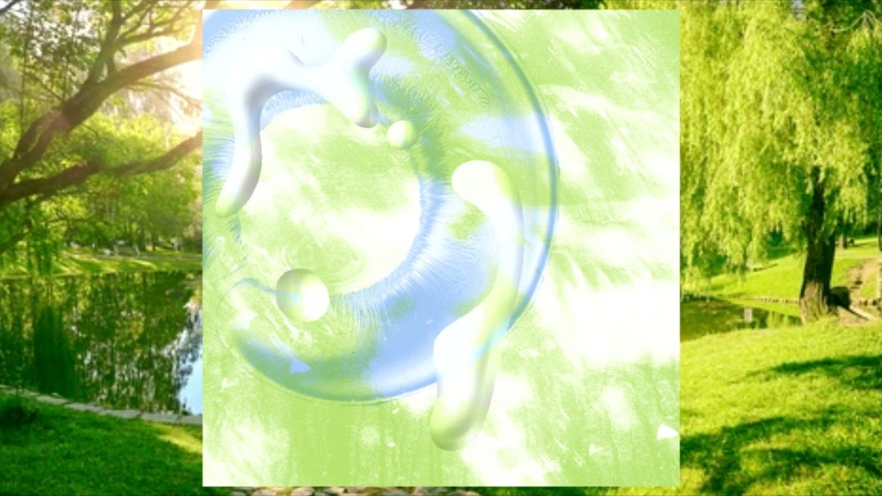 Will Hofbauer - Pond Party