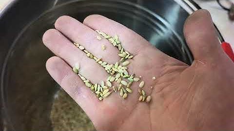 color sorter machine high sorting accuracy   multi-function suitable for tea,coffee,rice and so on.