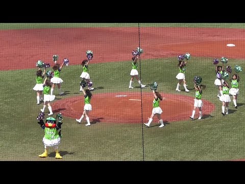 20180408 つばみちゃん今年もキレッキレ！東京ヤクルト新生Passion・つばみちゃんのOpening Performance「Touchdown」