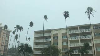 Tropical Storm Cindy Outer Bands St. Petersburg Tampa Bay Florida June 19, 2017- Windy And Rainy